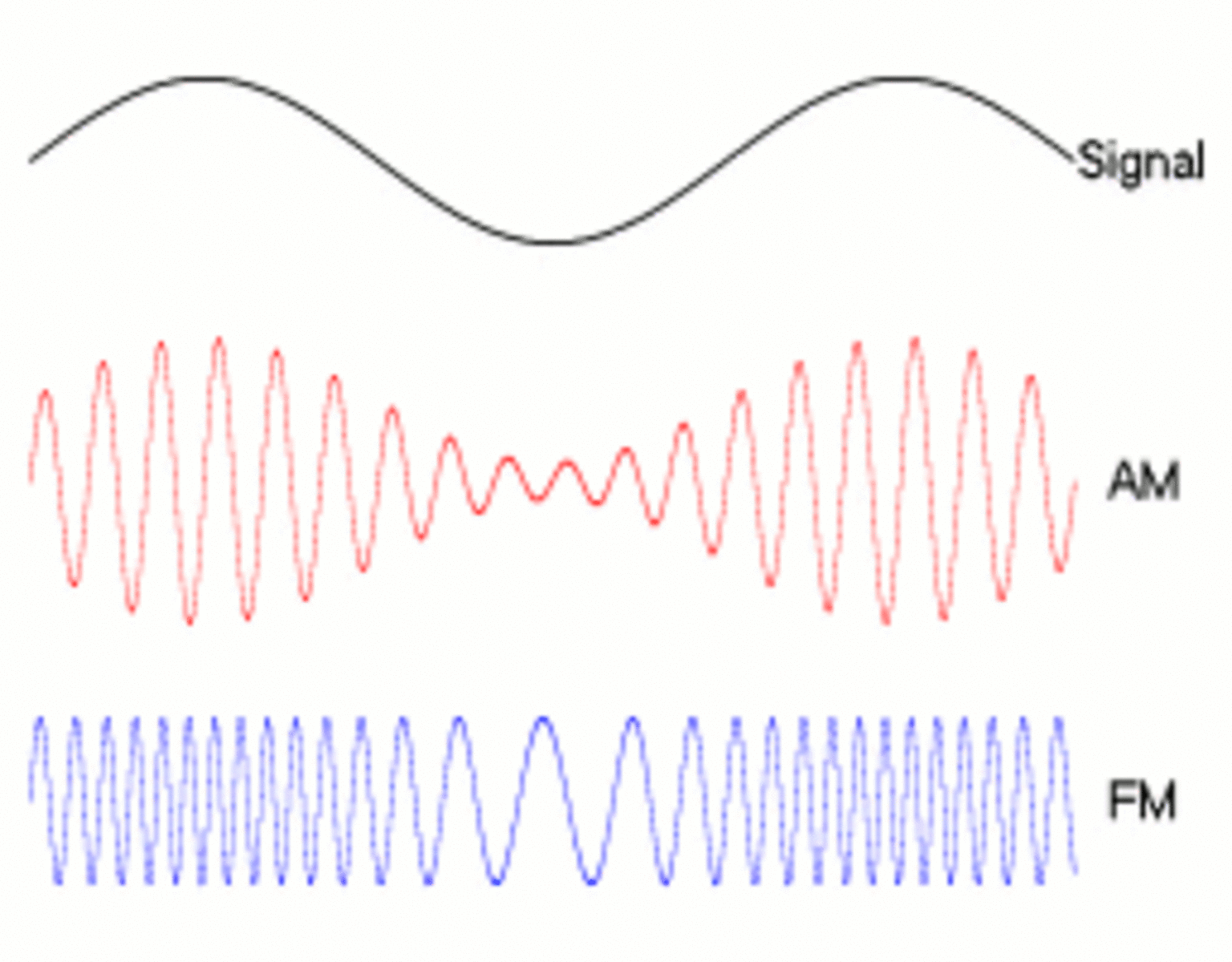 gif showing the difference between signal, AM, and PM, waves